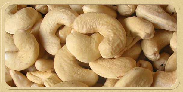 Good Quality Cashew nut